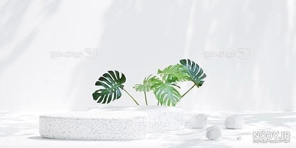 عکس سفید طرح دار کیوت