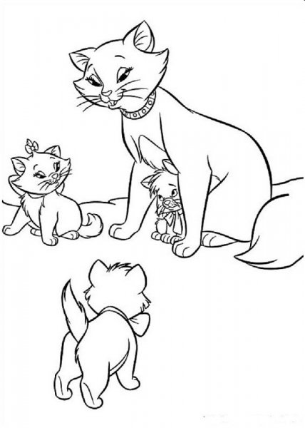  نقاشی گربه