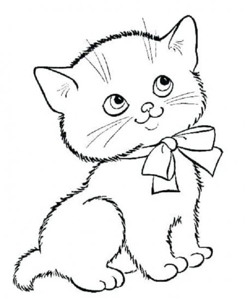  نقاشی گربه