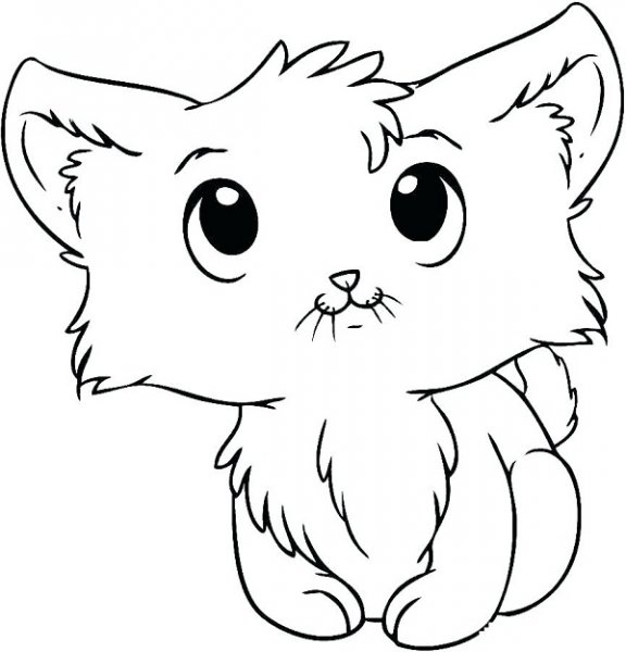  نقاشی گربه