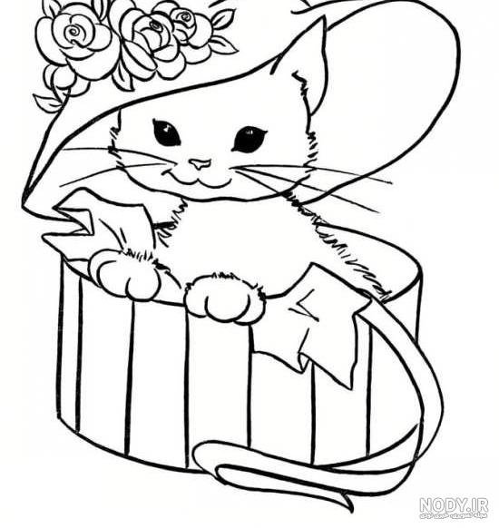 عکس نقاشی گربه زیبا و آسان