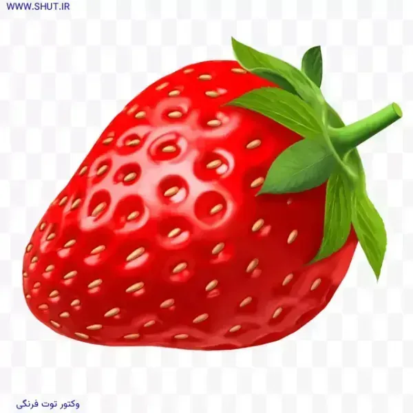  عکس توت فرنگی