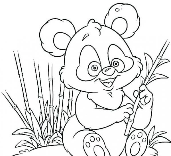  عکس پاندا برای نقاشی