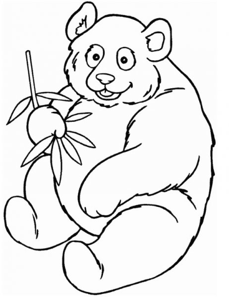  عکس پاندا برای نقاشی
