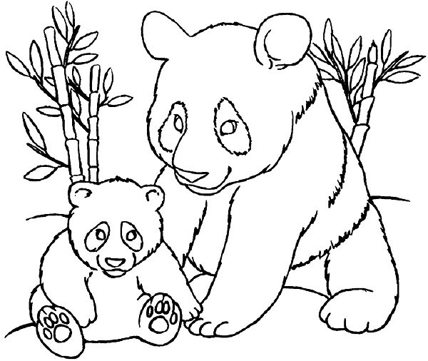  عکس پاندا برای نقاشی