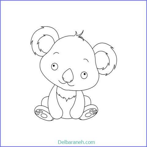  عکس کوالا برای نقاشی