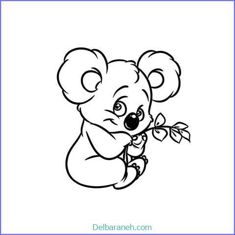  عکس کوالا برای نقاشی