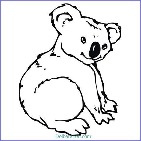  عکس کوالا برای نقاشی
