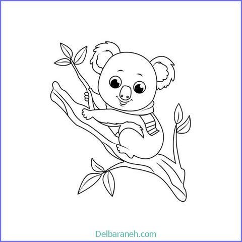  عکس کوالا برای نقاشی