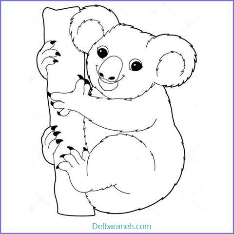  عکس کوالا برای نقاشی