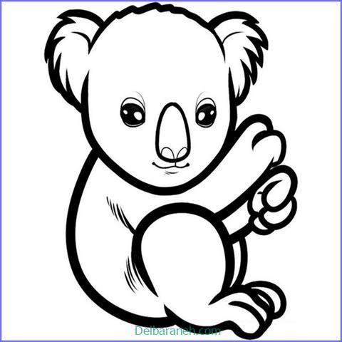  عکس کوالا برای نقاشی