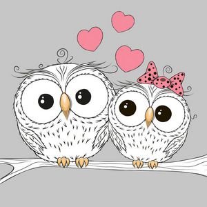  عکس جغد کارتونی