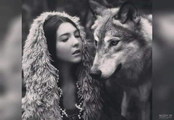  عکس گرگ سیاه برای پروفایل