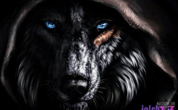  عکس گرگ سیاه برای پروفایل