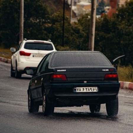  عکس گرگ مشکی ۴۰۵