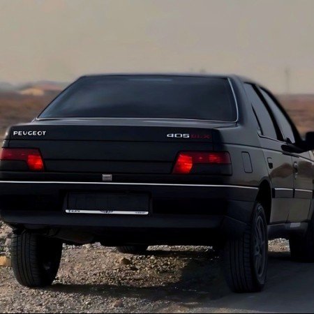  عکس گرگ مشکی ۴۰۵