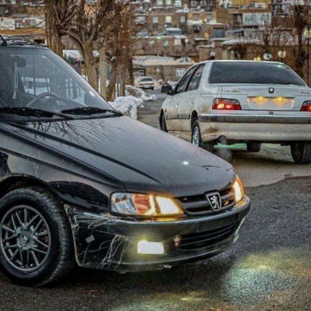 عکس گرگ سیاه ماشین