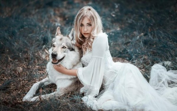  عکس گرگ برای پروفایل