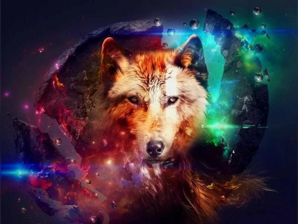  عکس گرگ برای پروفایل