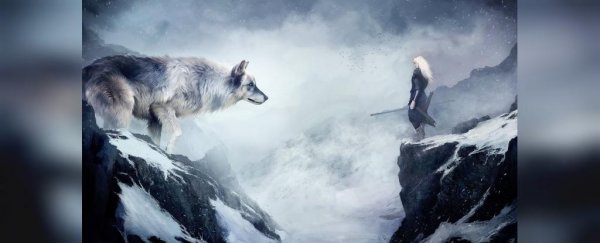  عکس گرگ برای پروفایل