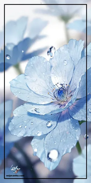  پس زمینه ابی پینترستی