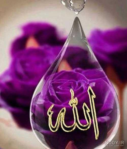  عکس الله با گل