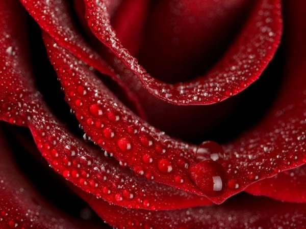 عکس پس زمینه برای کامپیوتر
