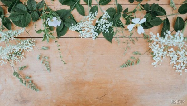  عکس پس زمینه برای نوشتن متن