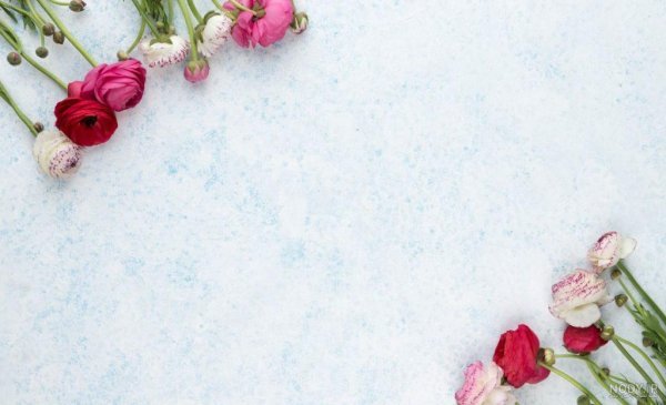  عکس پس زمینه برای نوشتن متن