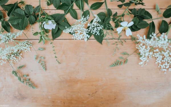 عکس پس زمینه برای نوشتن متن ساده