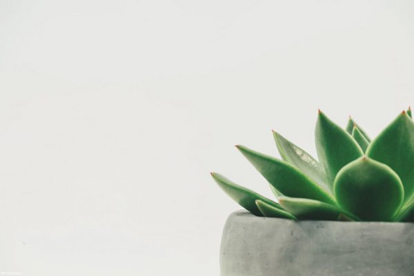 عکس پس زمینه برای نوشتن متن ساده