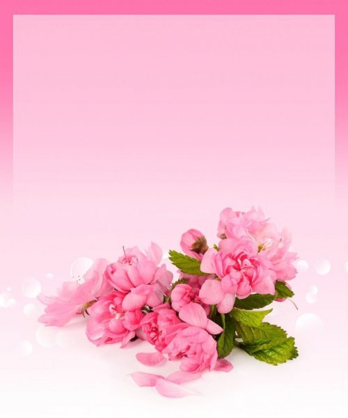 عکس برای نوشتن متن ساده