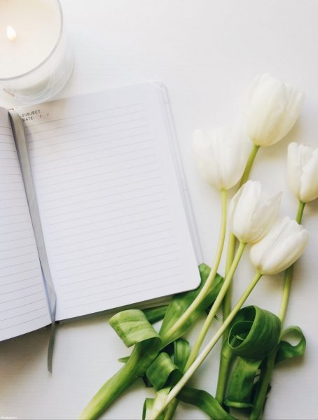 عکس برای نوشتن متن ساده