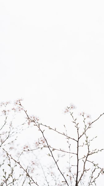 عکس برای نوشتن متن ساده