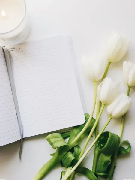 عکس پس زمینه برای نوشتن متن درسی