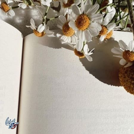 عکس صفحه خالی برای نوشتن متن مدرسه
