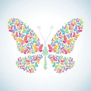  عکس پس زمینه پروانه