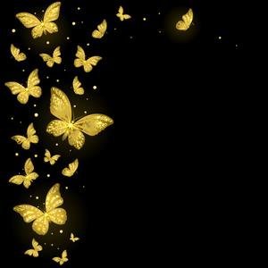  عکس پس زمینه پروانه
