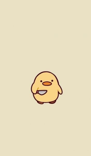  عکس پس زمینه جوجه