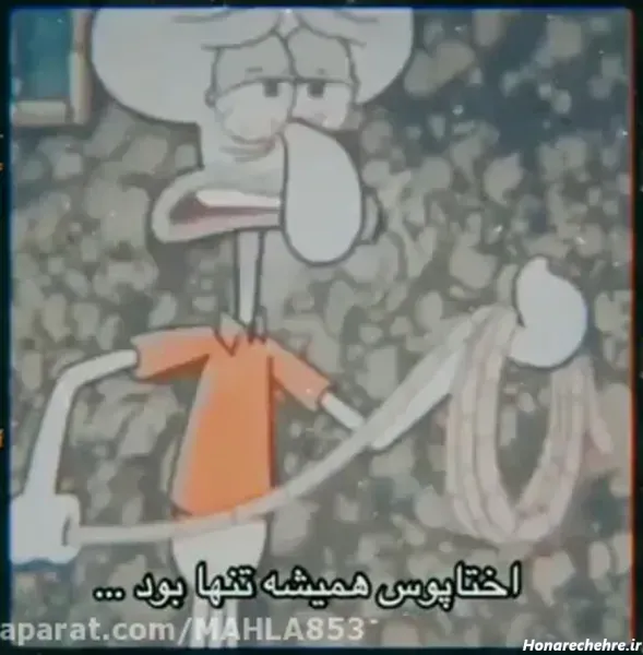  عکس اختاپوس غمگین