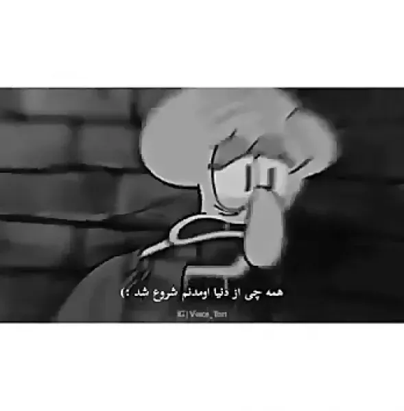  عکس اختاپوس غمگین