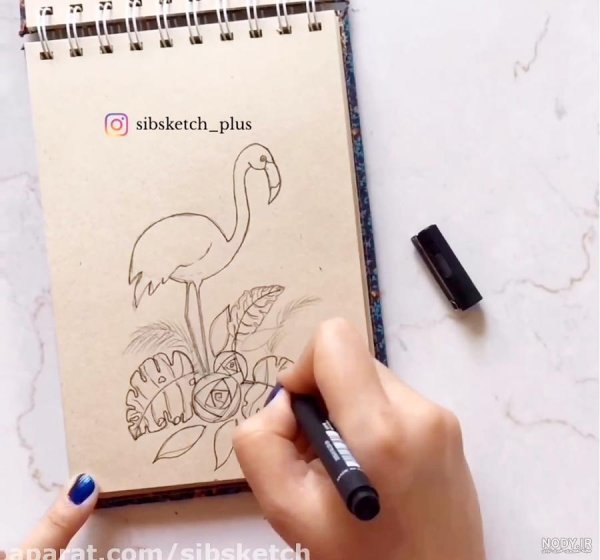  عکس فلامینگو نقاشی