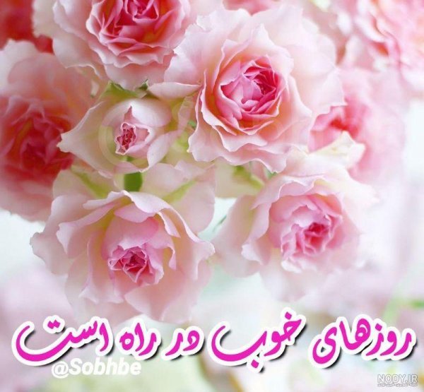  عکس روزانه