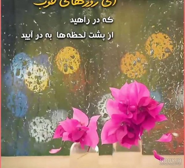  عکس روزانه