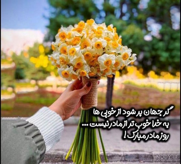  عکس روزانه