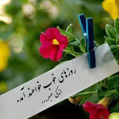  عکس روزانه