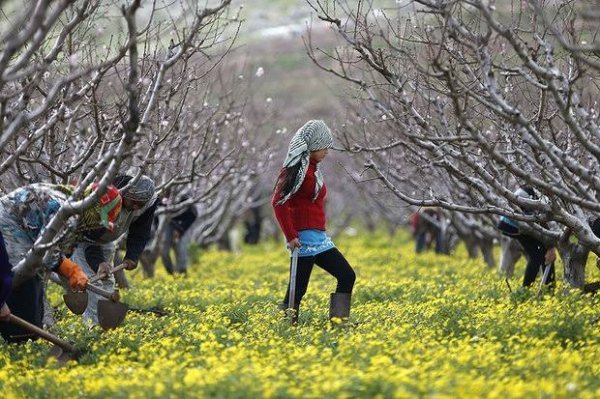  عکس های خبری ایران