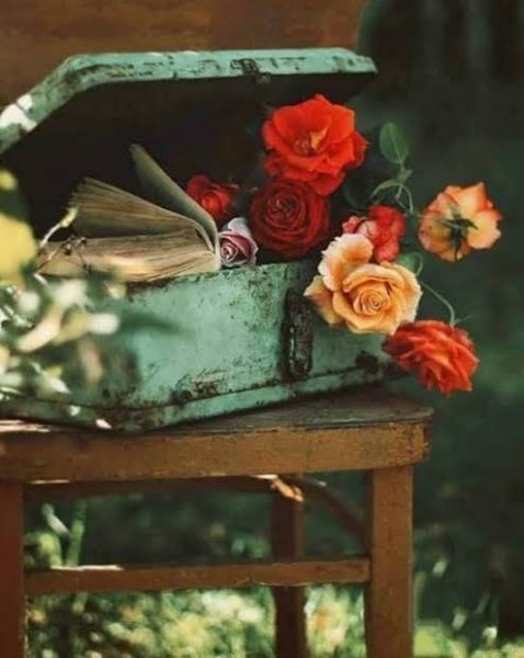  عکس پروفایل به روز