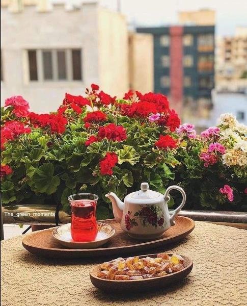  عکس پروفایل روز