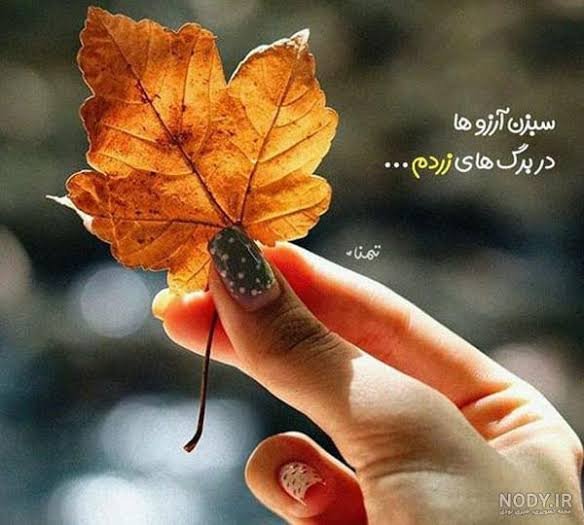  عکس های پر طرفدار